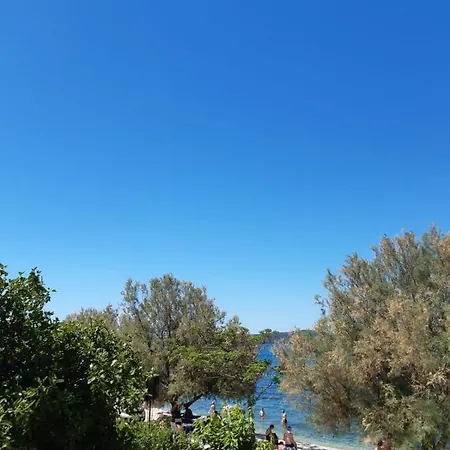 Laura * Bibinje